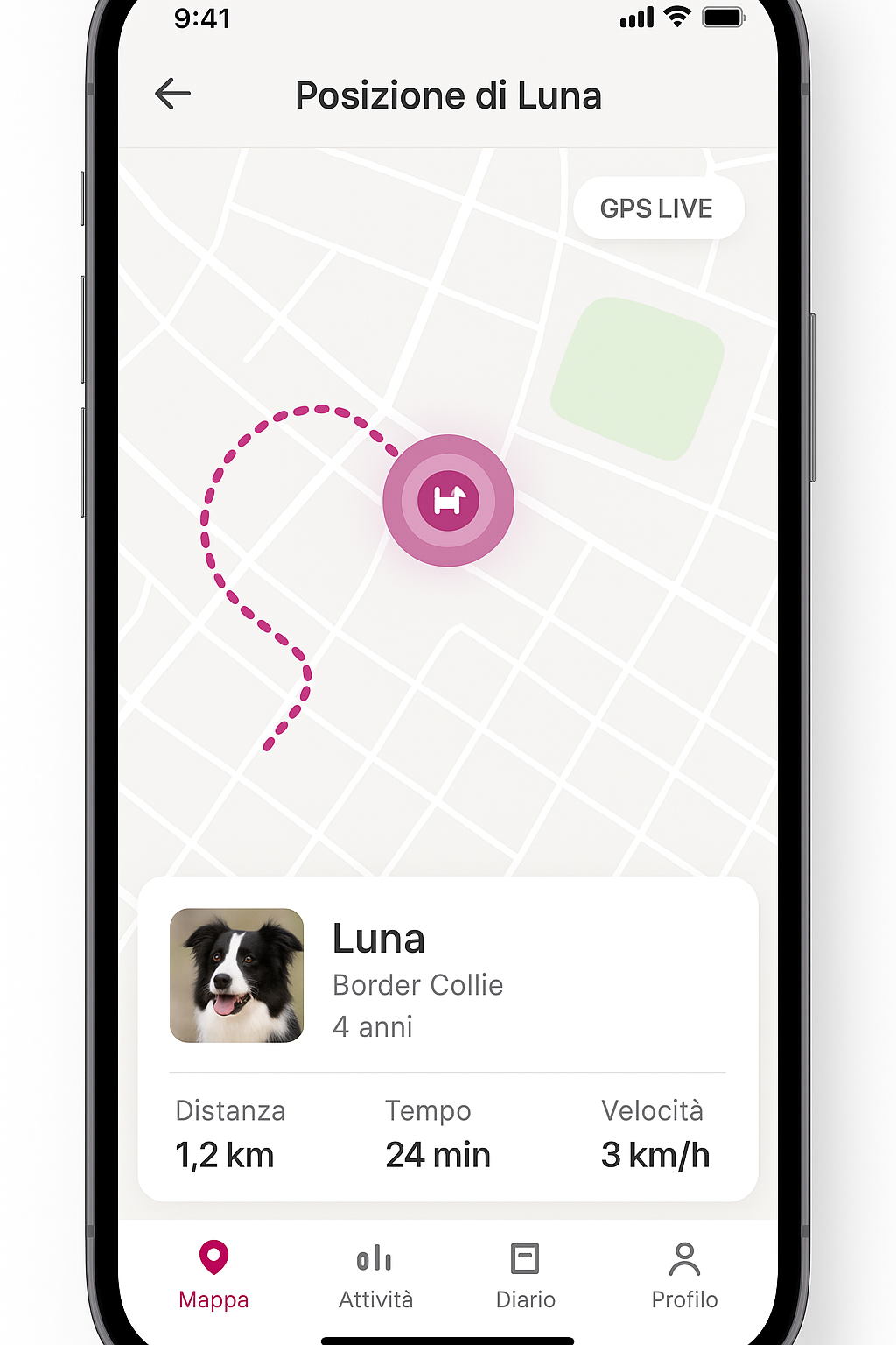Schermata dell'app FindMyPet
