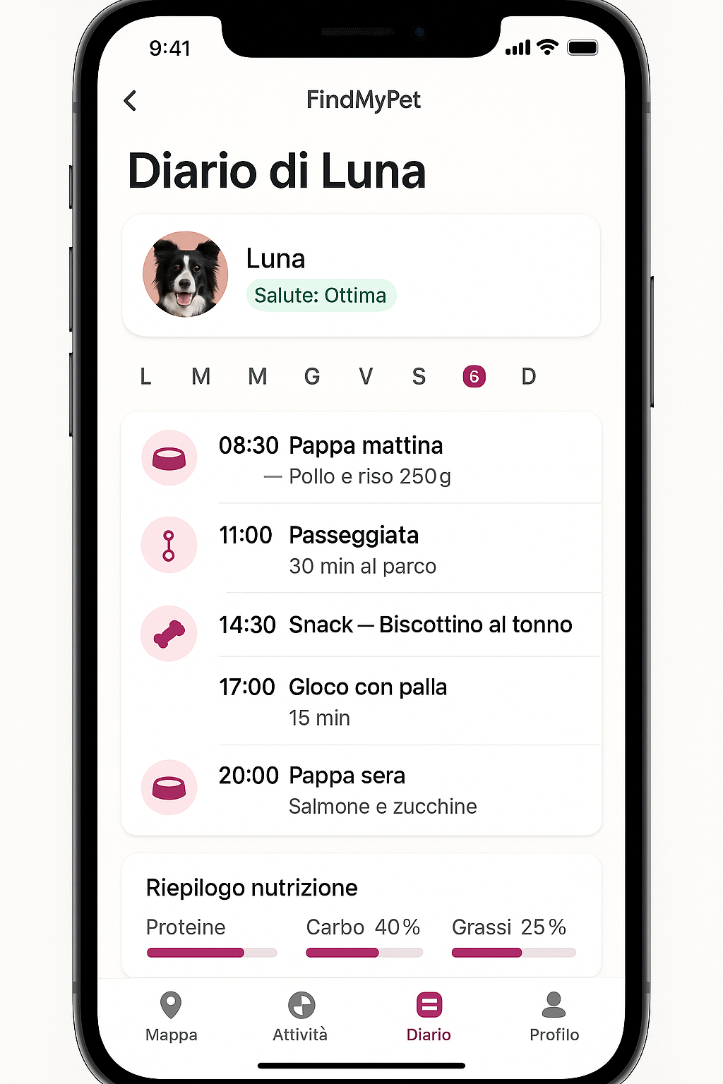 Schermata dell'app FindMyPet